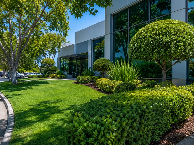 Freshly mowed lawn with crisp edges