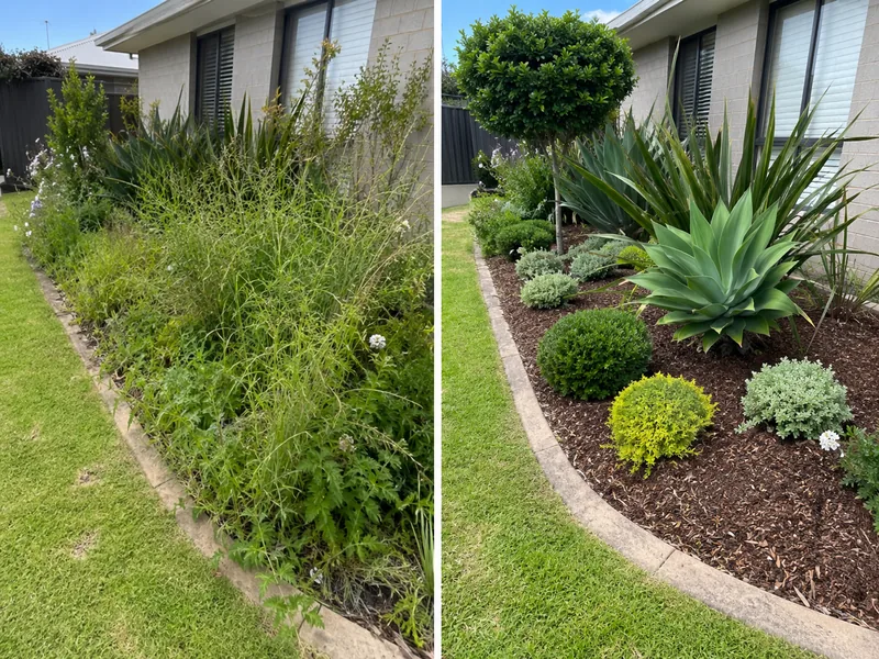 Weed-free garden bed with fresh mulch